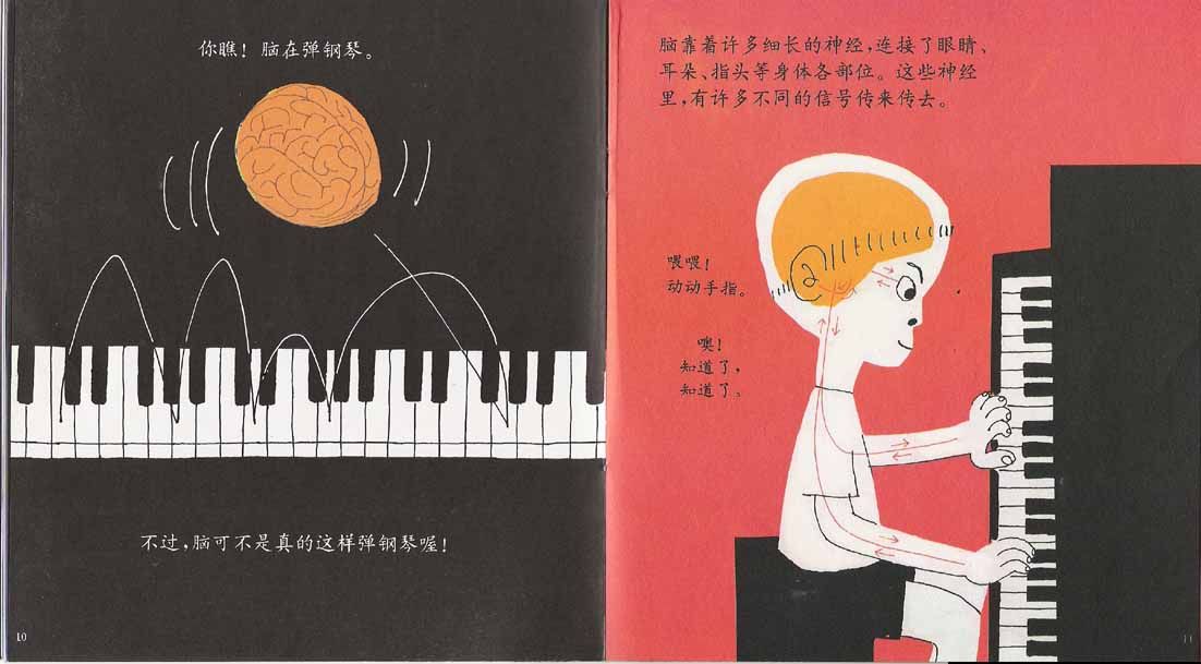 我们的头脑 (07),绘本,绘本故事,绘本阅读,故事书,童书,图画书,课外阅读